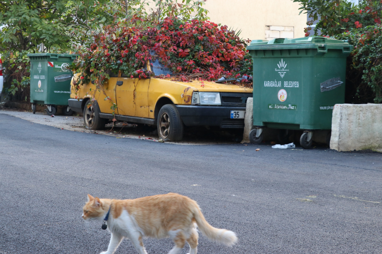 Aa Picture 20251113 39697395