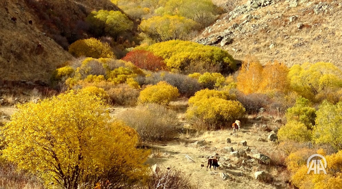 Kars'ta sonbaharın son güzellikleri yaşanıyor