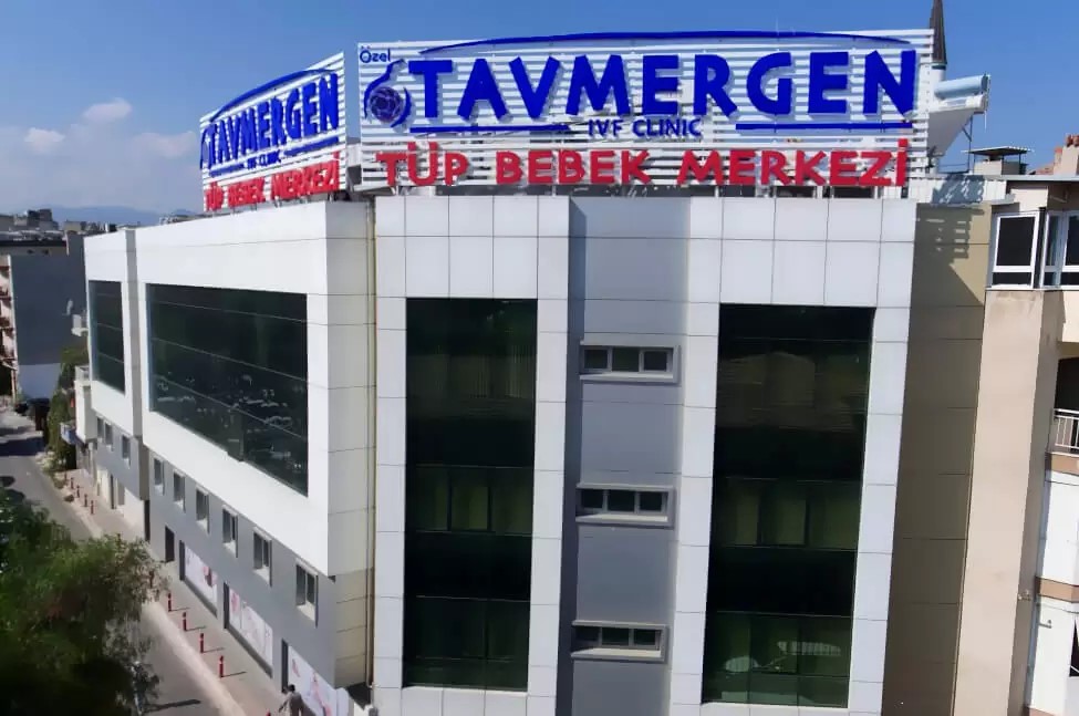 Whatsapp Image 2025 11 27 At 12.24.03 (3)