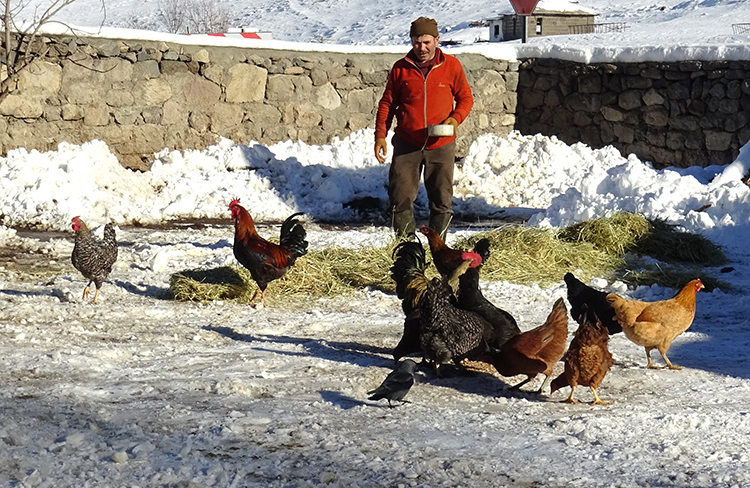 007 2025 01 Aralik 28 Aralik 10 20251216 2 72079362 120208960