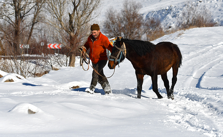 007 2025 01 Aralik 28 Aralik 10 20251216 2 72079362 120208961