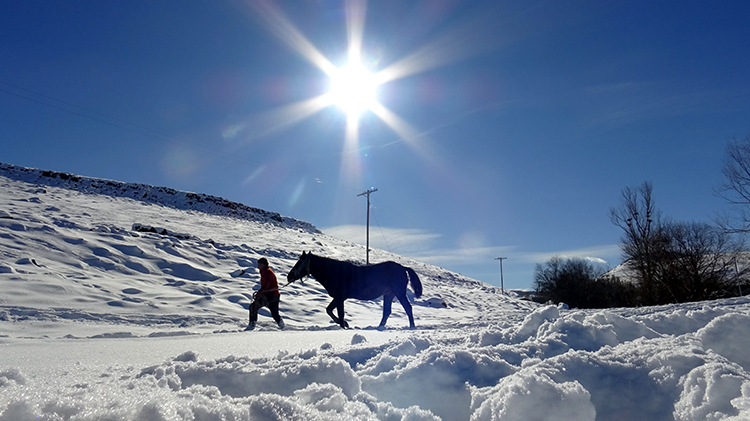 007 2025 01 Aralik 28 Aralik 10 20251216 2 72079362 120208965