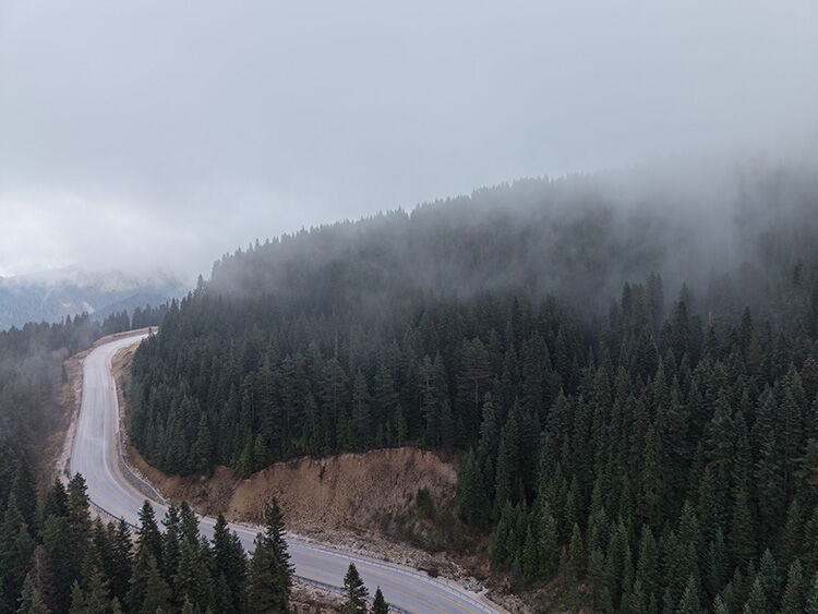 Ilgaz'da çam ağaçlarıyla bütünleşen sis dron ile görüntülendi