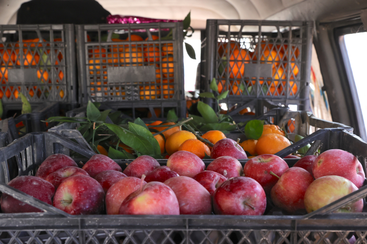 Aa Picture 20251215 39987663