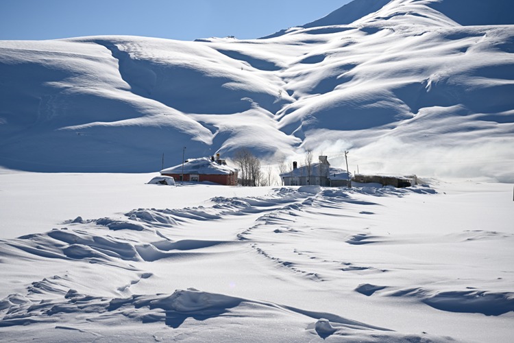 20260122 2 72614006 121442998