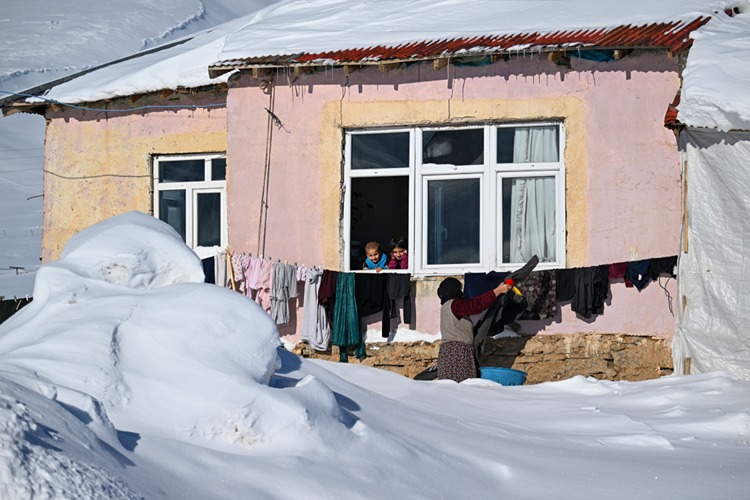 20260122 2 72614006 121443003