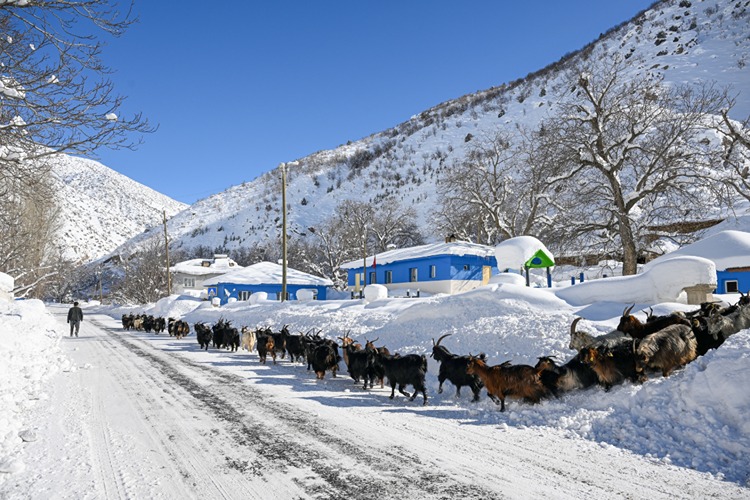 20260122 2 72614006 121443021