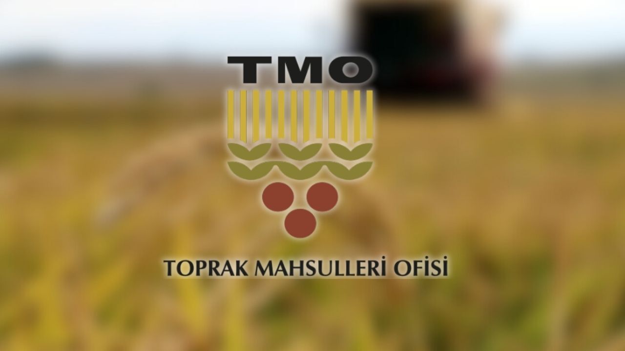 TMO, bu yıl 12,3 milyon ton hububat aldı