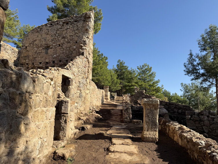 A A 20260316 40838312 40838305 3 B I N Y I L L I K A N T I K K E N T T E K I S K A N A N C A T L A S I N Y A Z I L I M O Z A I K B U L U N D U