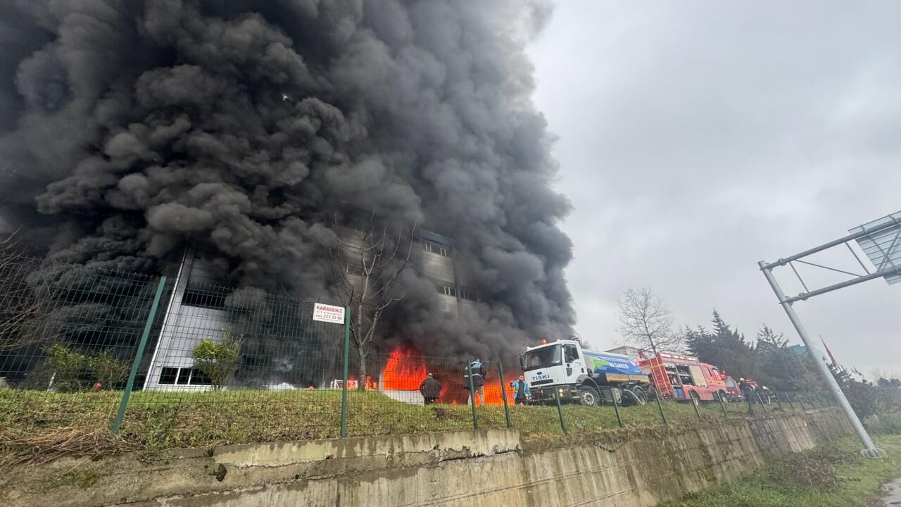 Trabzon Yanginaa 2448722