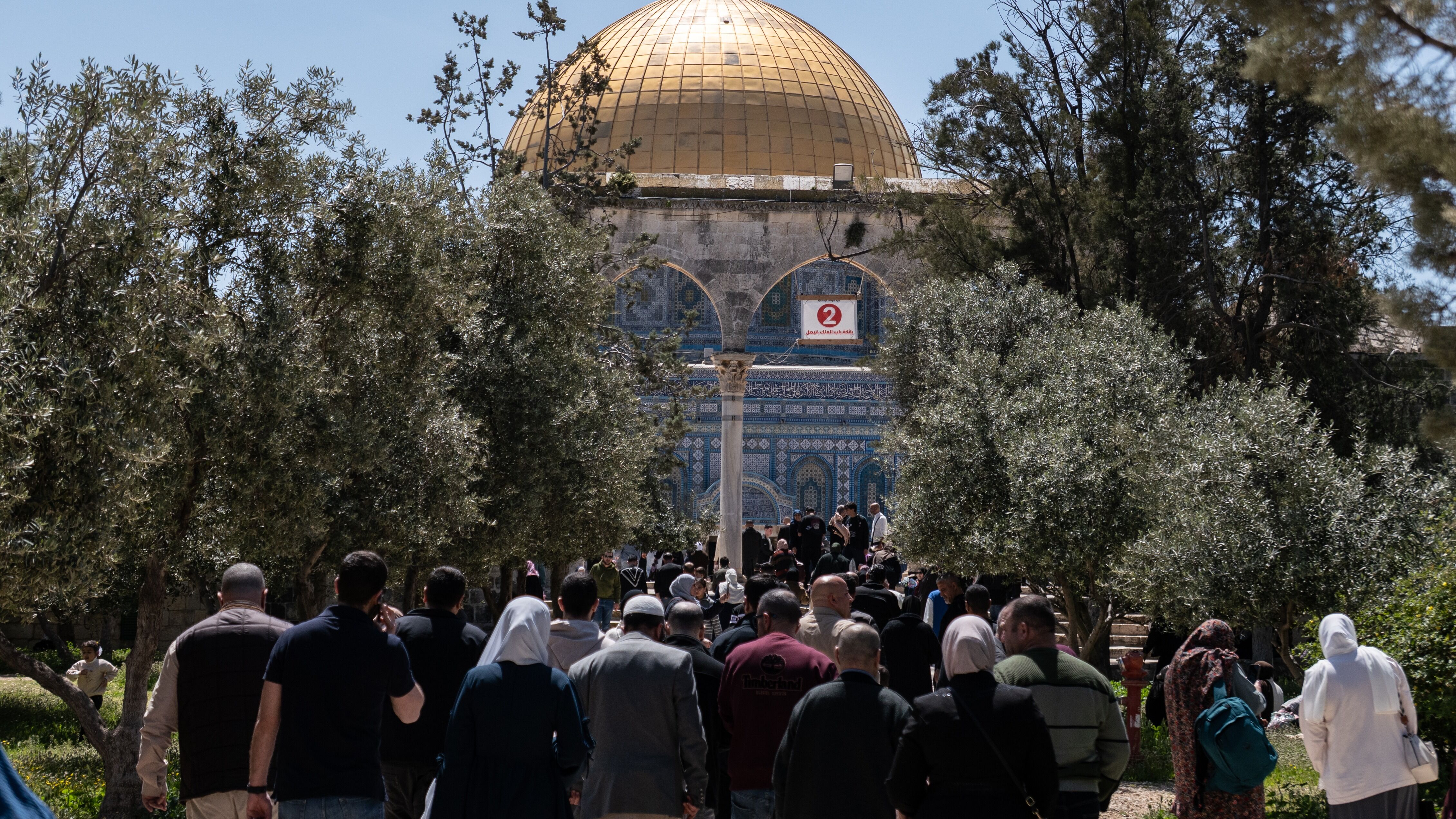 65Db452Ce8E15150B6543Fbac4Ce3750