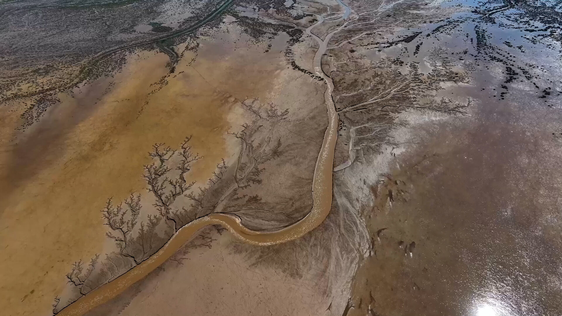 A A 20260330 40964377 40964376 K A Y S E R I T U Z L A P A L A S G O L U N U B E S L E Y E N S U L A R I N O L U S T U R D U G U I Z L E R A G A C D A L L A R I N I A N D I R I Y O R.mp4.00 00 00 00. Still001