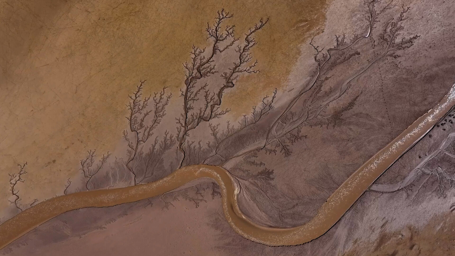 A A 20260330 40964377 40964376 K A Y S E R I T U Z L A P A L A S G O L U N U B E S L E Y E N S U L A R I N O L U S T U R D U G U I Z L E R A G A C D A L L A R I N I A N D I R I Y O R.mp4.00 01 17 20. Still002