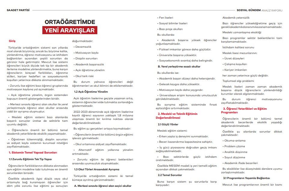 Rapor 1